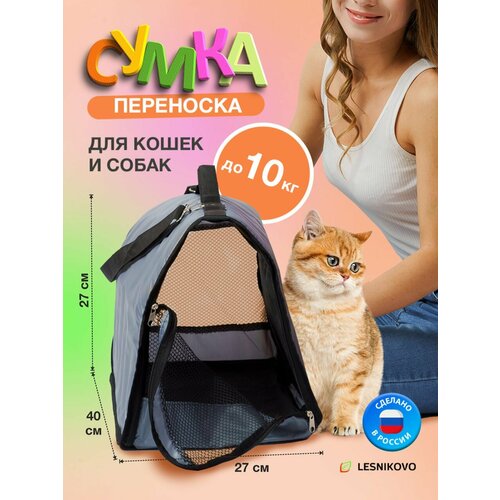 ���� ����� ��������� ��� ����� � ����� �����, ������ ������