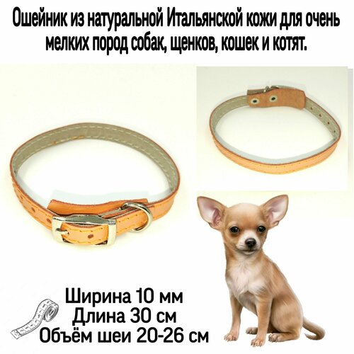 ���� ������� �� ����������� ����������� ���� ��� ����� ������ ����� �����, ����� � ������, �����. ������ 10 ��, ����� 30 ��, ����� 20-26, ������ ������