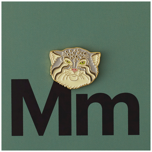 ���� ������ PinPinPin �����, ������ ������