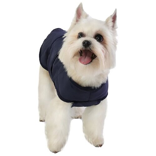 ���� ������ ��� ����� ���������� 