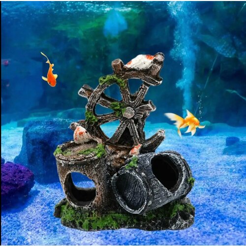 ���� ��������� ��� ��������� ���� �������, ������ ������