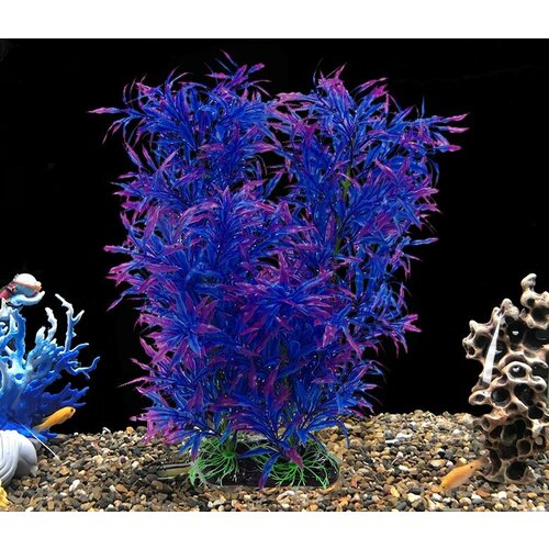 ���� ����������� �������� 40 ��, ������ ������