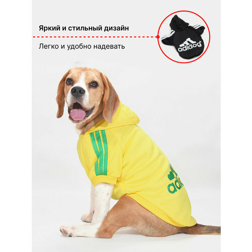 ���� ���������-���� ��� ����� � ����� ������ ��� �������� ������ (�����) � ���������, ������ ������