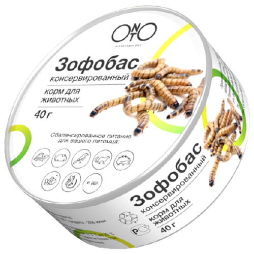 ���� ����� ����  ���  ���, �������� ONTO �������, 40 ��, 40 �, ������ ������