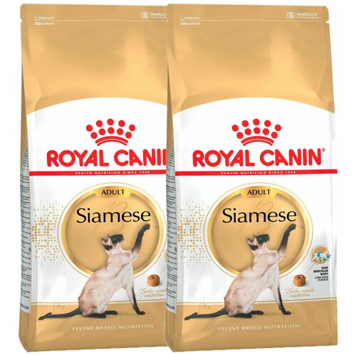  ROYAL CANIN SIAMESE ADULT     (2 + 2 )   -     , -,   