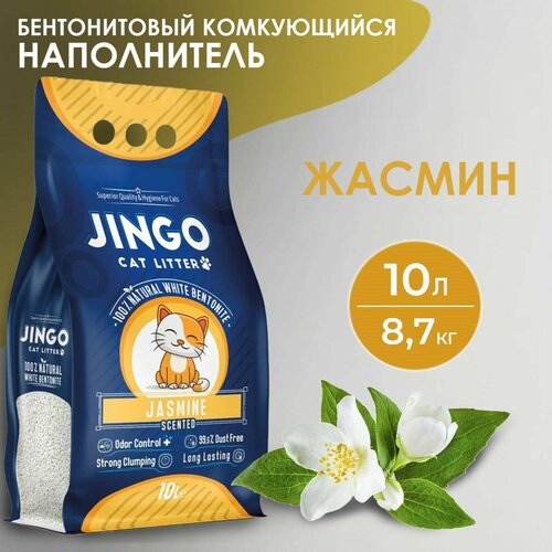       JINGO , 10/ 8,7 .   -     , -  