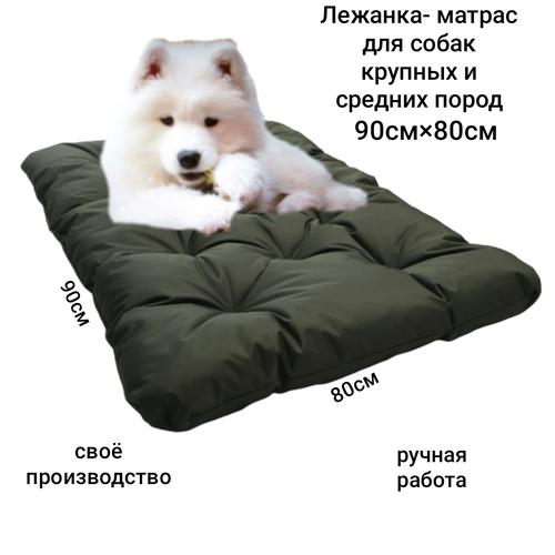 ���� �������-�������� ��� ������� � ������� �����, ������ ������