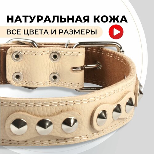 ���� ������� ������� ������� ��� ����� ������� � ������� �����, ��� ������ ������� �����, ������ ������