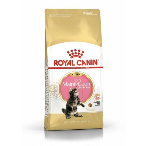    RC Kitten Maine Coon    , 10  Royal Canin 1657534 .   -     , -,   