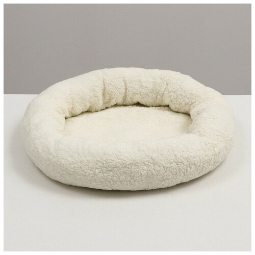 ���� ������� ��� ����� � ����� 