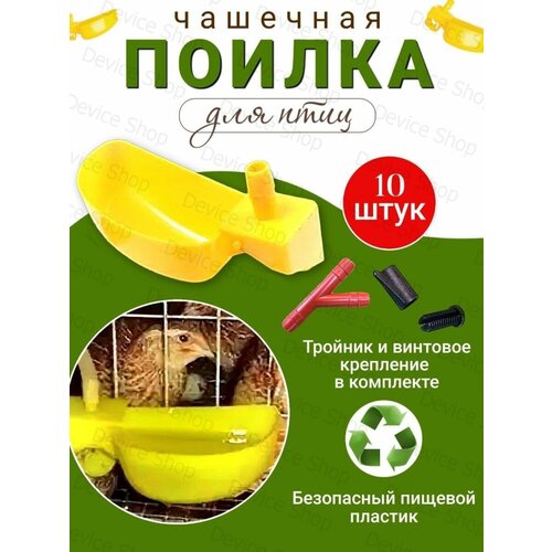 ���� �������� ������ ��� ���������, ������, ����, ������ ������