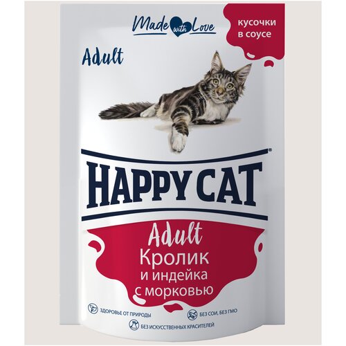      Happy Cat  ,  ,   22 .  100  (  )   -     , -,   