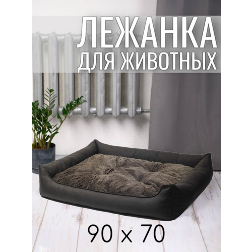 ���� ������� ��� �������� ����� � ����� ������������� 90/70 �� ����: ����� ����������, ������ ������