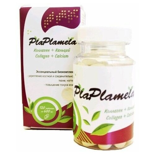     PlaPlamela 120    -     , -  