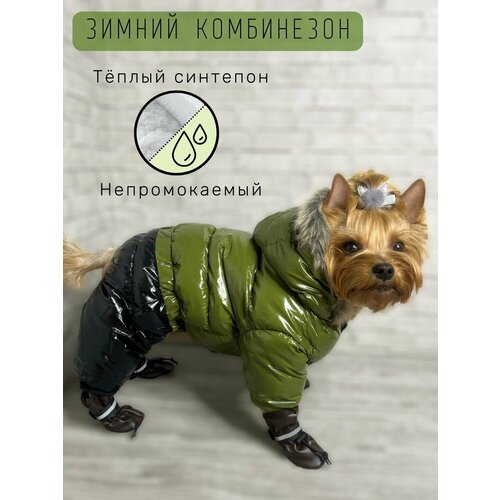 ���� ������ ���������� ��� ����� ���� ����� / ������������� / ������� �������� / ������ 22 / ����, ������ ������