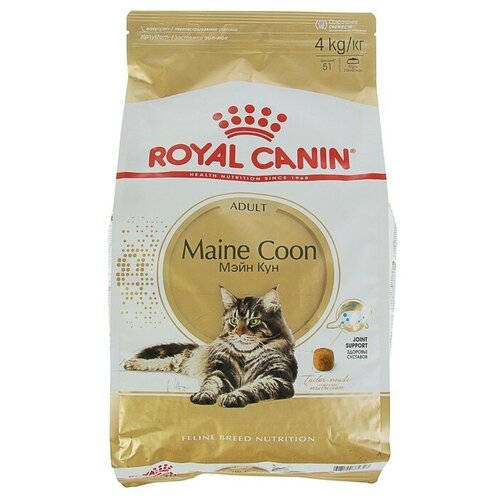    RC Maine Coon   , 4  1657519   -     , -,   