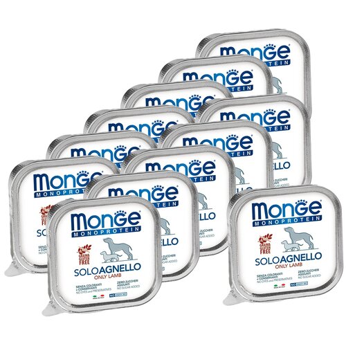      Monge Monoprotein, ,  1 .  12 .  150    -     , -  