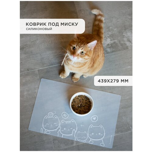 ���� ������ ��� ����� ��� ����� ��� ������ FlexHome, �����������, ��� ��������, ������ ������