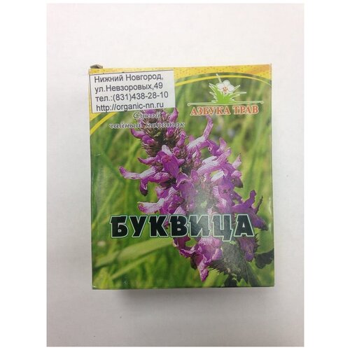 ���� ������� �������������, ����� 1,5��*20 ������-������� ������ ���� (Betonica officinalis L.), ������ ������