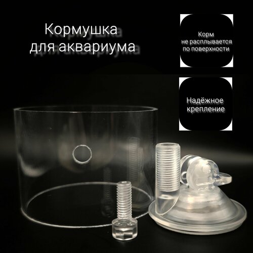 ���� �������� ��� ����������� ��� �� ��������, ������ ������