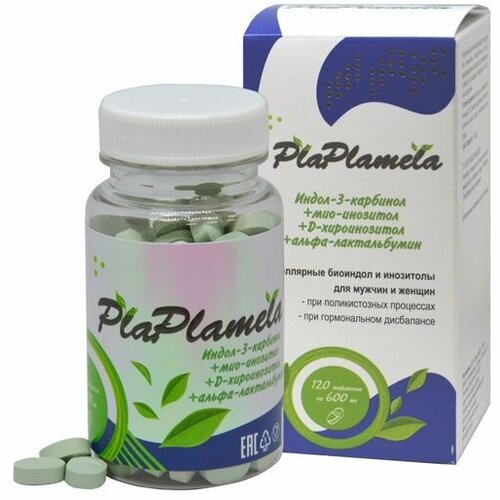  Plaplamela - - 120   -     , -  