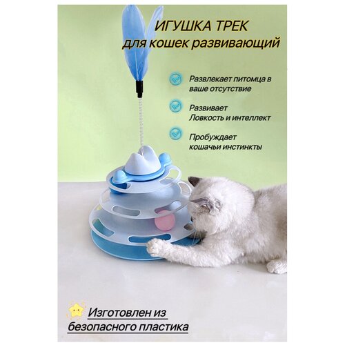 ���� ������� ���� ��� ����� � �������, ������ ������