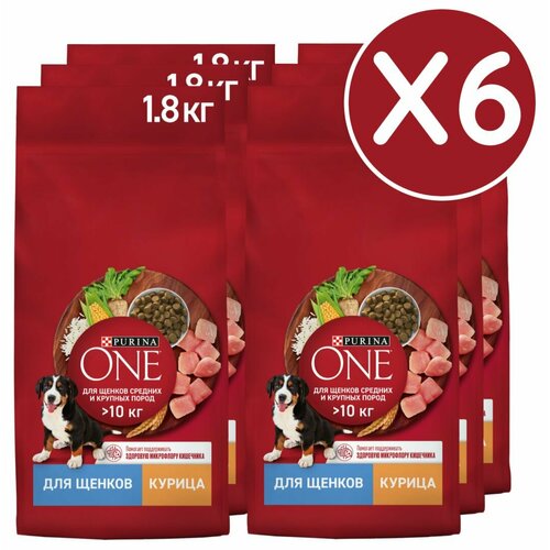          Purina ONE Puppy,  , 1,8 , 6    -     , -  