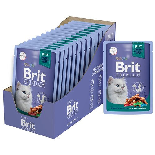       BRIT Premium      14.*85   -     , -,   