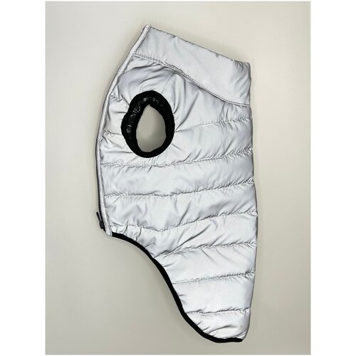 ���� ��������������� ����� ��� ����� ������ , ������ M, ������ ������