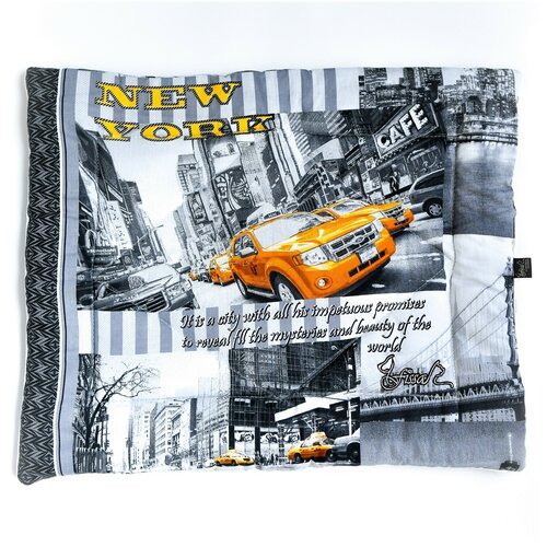 ���� �������� ��� �������� FISSA, ��������� 