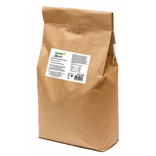 ���� ���� ��� ������� ������ ������ ���� , 5 ��, ������ ������