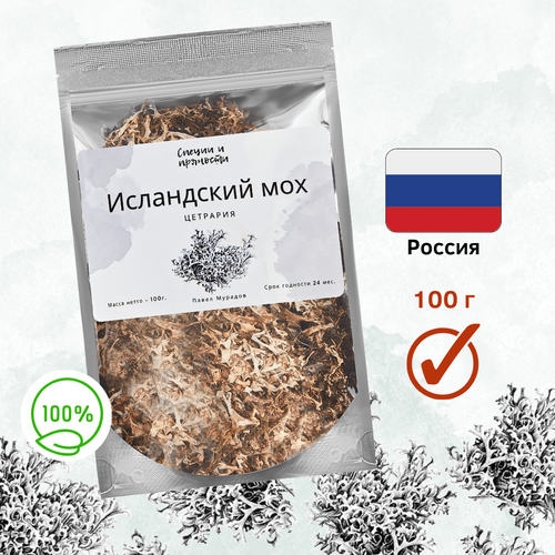 ���� ���������� ��� - ��������, ������ ������