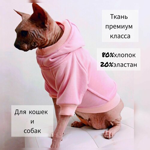 ���� ��������� � ��������� ��� ����� � ����� ������ ����� (�������), ������ ������