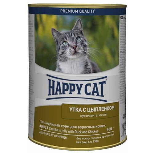    Happy Cat           12   400    -     , -,   