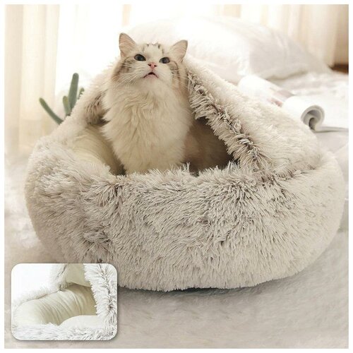 ���� ������ �������� �������� ������� ����� ��� ����� � ����� 50 �� (�����), ������ ������