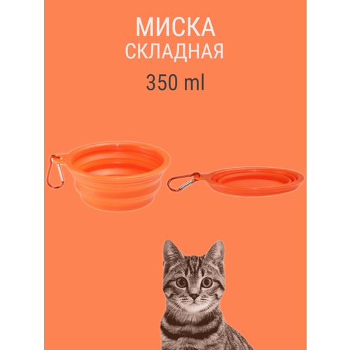 ���� �������� ����������� ����� ��� ������ � ��������� 350 �� ���������, ������ ������