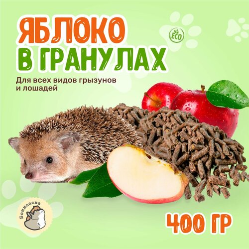 ���� ���� ��� ��������, ������ � �������� ��� ������� ������, �������, ��������, �������, ����, 8��, 400 ��, ������ ������