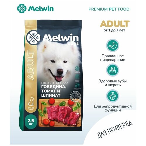    MELWIN       , ,  2,5    -     , -  