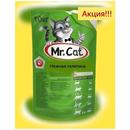 Mr. Cat    10 