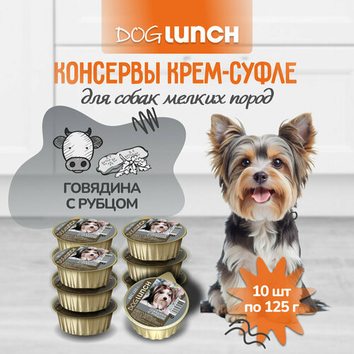      Dog Lunch -, ,  1 .  10 .  125    -     , -  