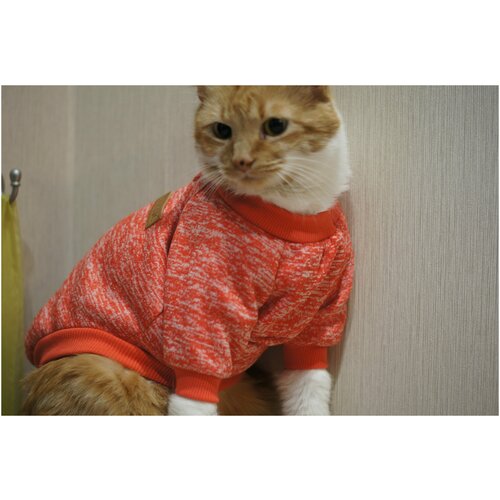 ���� ������, ��������� ��� ����� ������ � ������� �����, ������ ������