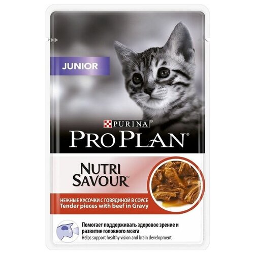      Purina Pro Plan Junior Kitten Feline with Beef pouch    26   85    -     , -,   