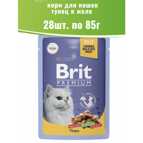  Brit Premium 28  85    ,      -     , -  