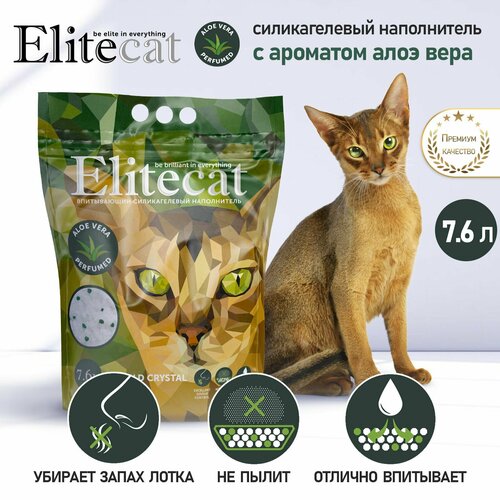       ELITECAT 