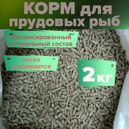 ���� ��������� ��� ��� 2 ��, ������ ������