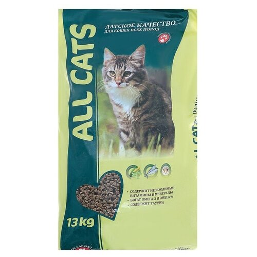   All cats   , 13    -     , -,   