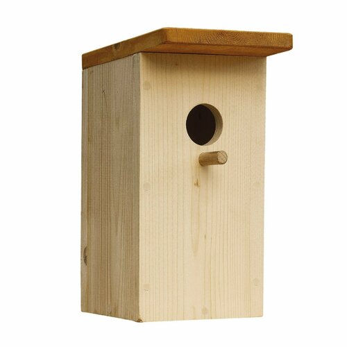 ���� ���������� 