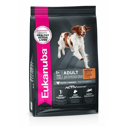  EUKANUBA ADULT MEDIUM BREED 3        3   -     , -  