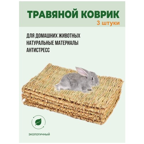 ���� ������ ��� ��������, ��������� �� ������, ������� ��� �������� � ����, ������� � ������ ��� �������, ������ ������