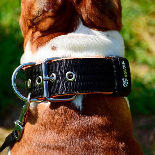 ���� ������� ��� ����� �������. ������ 5.5 ��. ��� �������� � �����������. ������ 43-57 ��. ���� ������ � ���������., ������ ������